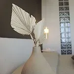 Nettuno فندق 2*