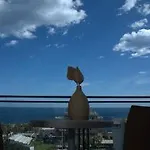 Nettuno كاتانيا
